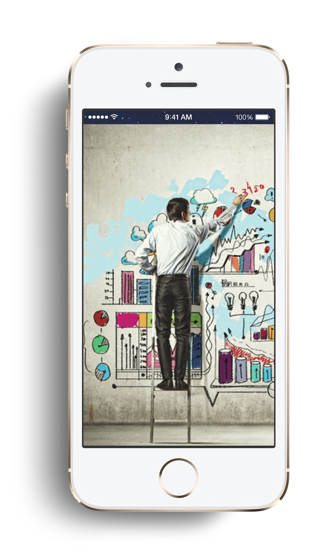 project manage phone